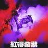 FC안양, 오는 5일 FC서울과 ‘올 시즌 첫 맞대결’