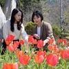 전남 8호 민간정원 하늘빛수목원, 봄맞이 튤립축제 개최