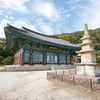 국보 (제117호)철조비로자나불좌상, 보물 (제1252호)목조사천왕상