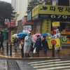 용인시 동백동, 초등학교 앞 교통안전 캠페인 전개