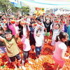 광주시, 제23회 퇴촌토마토거리축제 6월 20일부터 3일간 개최