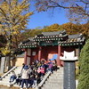 고양시 ‘온마을 행복학교’, 지역 자원과 교육을 잇다