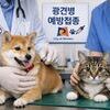  안성시, 2026년 상반기 광견병 3일부터 31일까지 예방접종...시술비 5천 원만 부담 