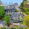 김포 애기봉 걷기행사  자연과 문화가 어우러진 참여형 걷기행사로 관광객 호응