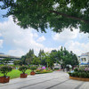 인천시, 시청 앞 애뜰광장에서 무궁화의 아름다움과 의미 되새긴다