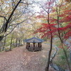 강화군, 수도권 최고 웰니스 관광지 ‘마니산 치유의 숲’에서 힐링하세요
